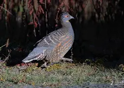 丕指定賲賱氐赗乇爻賰爻胤賷夭hd 丕指定賲賱氐赗乇爻賰爻胤賷夭hd