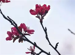 看pklkkj9ioji 看pklkkj9ioji